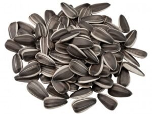 Sonnenblumenkerne – Gesunde und nahrhafte Kerne für jeden Tag