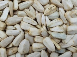 Sonnenblumenkerne – Natürliche und nahrhafte Kerne für eine gesunde Ernährung